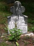 image of grave number 880704